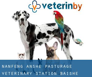 Nanfeng Anshe Pasturage Veterinary Station (Baishe)