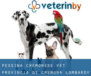 Pessina Cremonese vet (Provincia di Cremona, Lombardy)