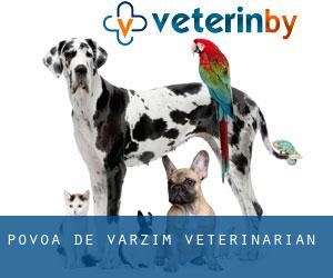 Póvoa de Varzim veterinarian