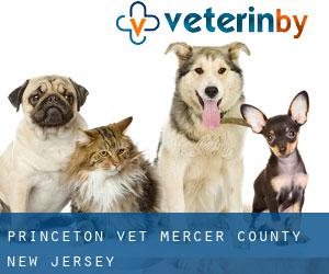 Princeton vet (Mercer County, New Jersey)