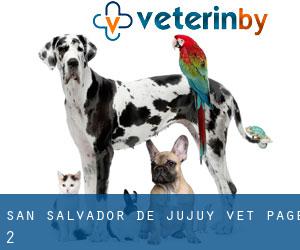 San Salvador de Jujuy vet - page 2