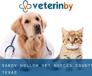 Sandy Hollow vet (Nueces County, Texas)