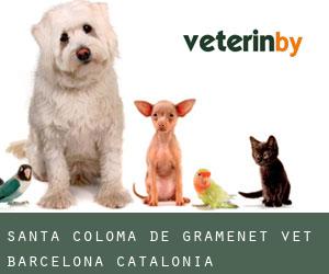 Santa Coloma de Gramenet vet (Barcelona, Catalonia) Santa Coloma de Gramenet vet (Barcelona, Catalonia)