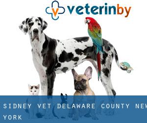 Sidney vet (Delaware County, New York)