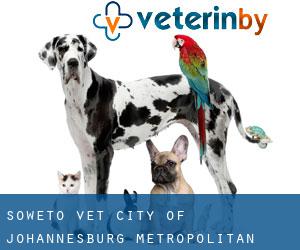 Soweto vet (City of Johannesburg Metropolitan Municipality, Gauteng)