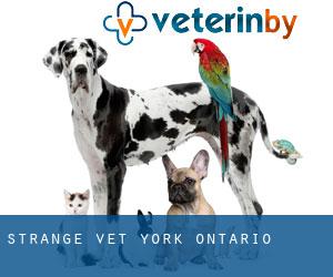 Strange vet (York, Ontario)