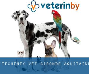 Techeney vet (Gironde, Aquitaine)
