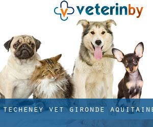 Techeney vet (Gironde, Aquitaine)