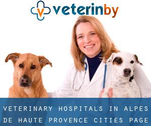 veterinary hospitals in Alpes-de-Haute-Provence (Cities) - page 4