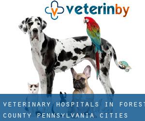 veterinary hospitals in Forest County Pennsylvania (Cities) - page 1