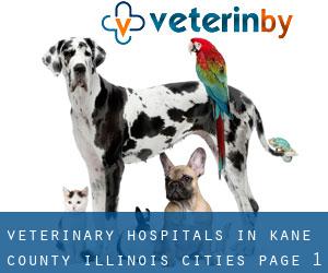 veterinary hospitals in Kane County Illinois (Cities) - page 1