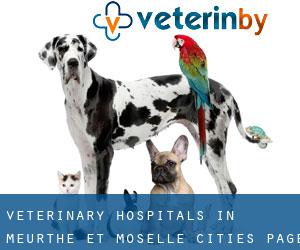veterinary hospitals in Meurthe et Moselle (Cities) - page 16