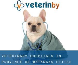 veterinary hospitals in Province of Batangas (Cities) - page 1