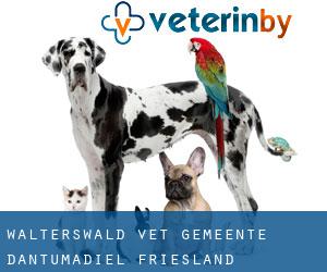 Wâlterswâld vet (Gemeente Dantumadiel, Friesland)
