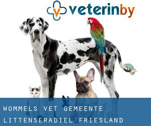 Wommels vet (Gemeente Littenseradiel, Friesland)