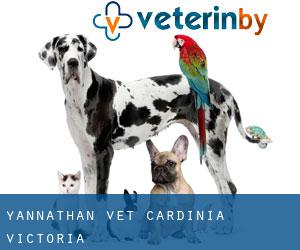 Yannathan vet (Cardinia, Victoria)