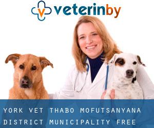 York vet (Thabo Mofutsanyana District Municipality, Free State)