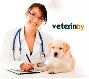 Vet Finder Vet Finder