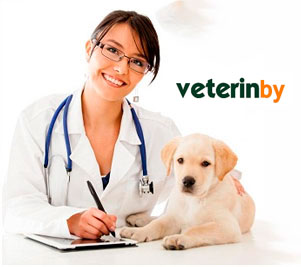 Vet Finder